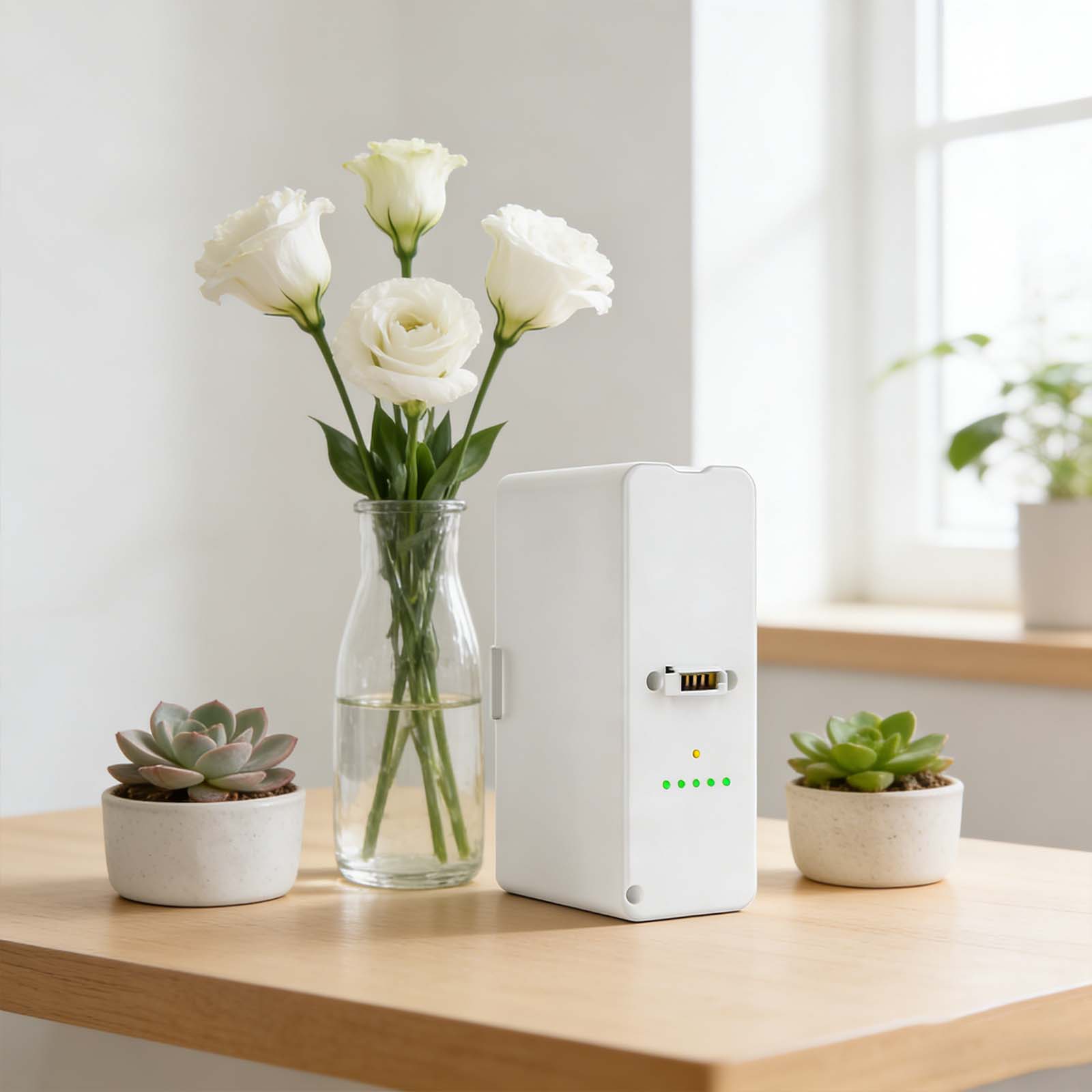 Battery of SJ-OX1C Portable Oxygen Concentrator